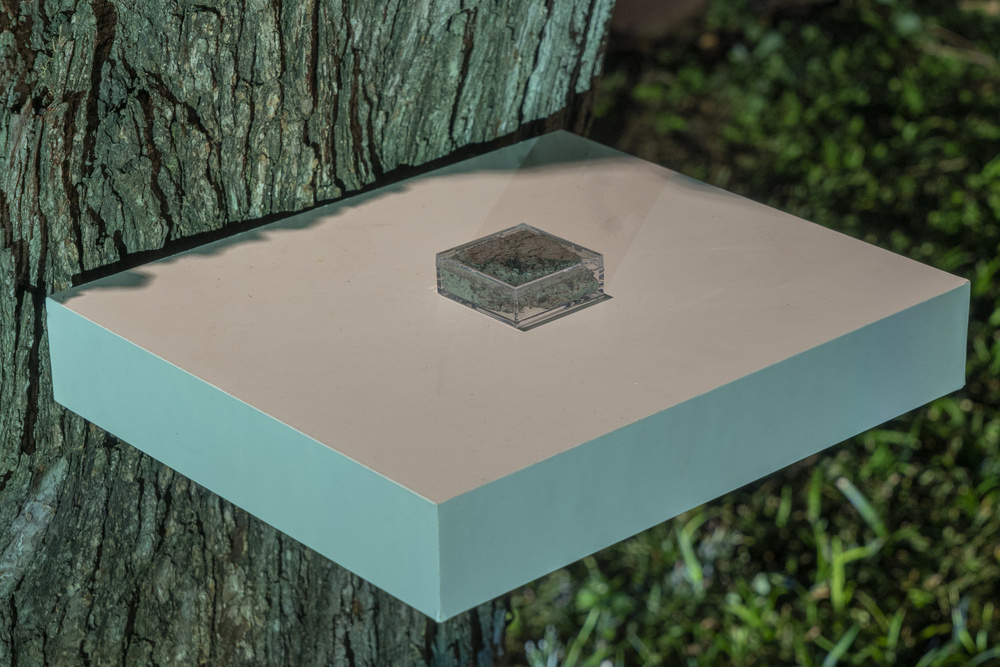 Documentation photograph from Ground, As In, Moonmist, 2019