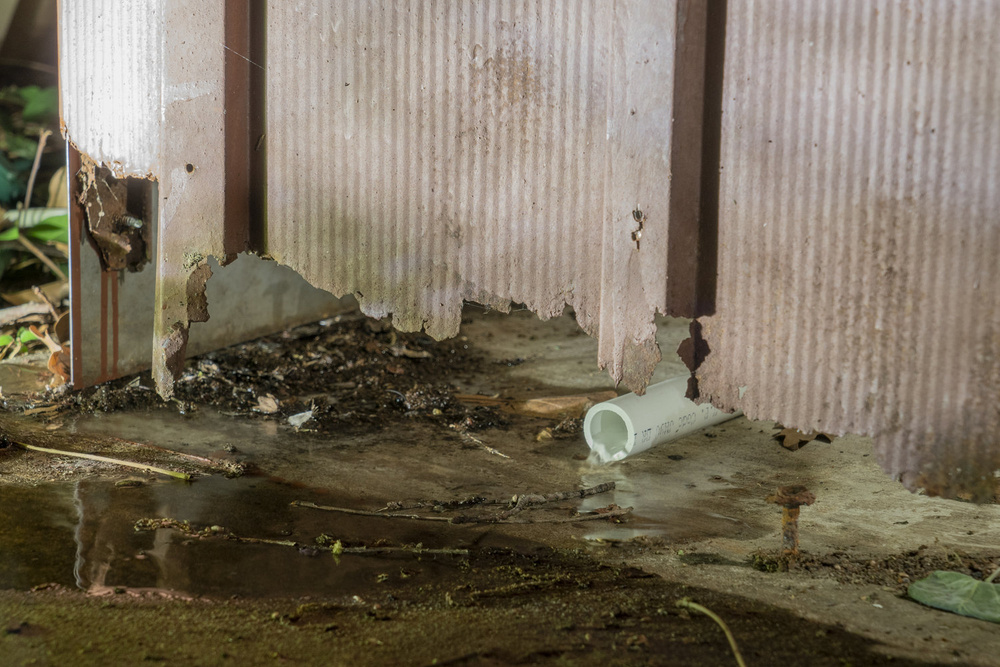 Documentation photograph from Ground, As In, Moonmist, 2019