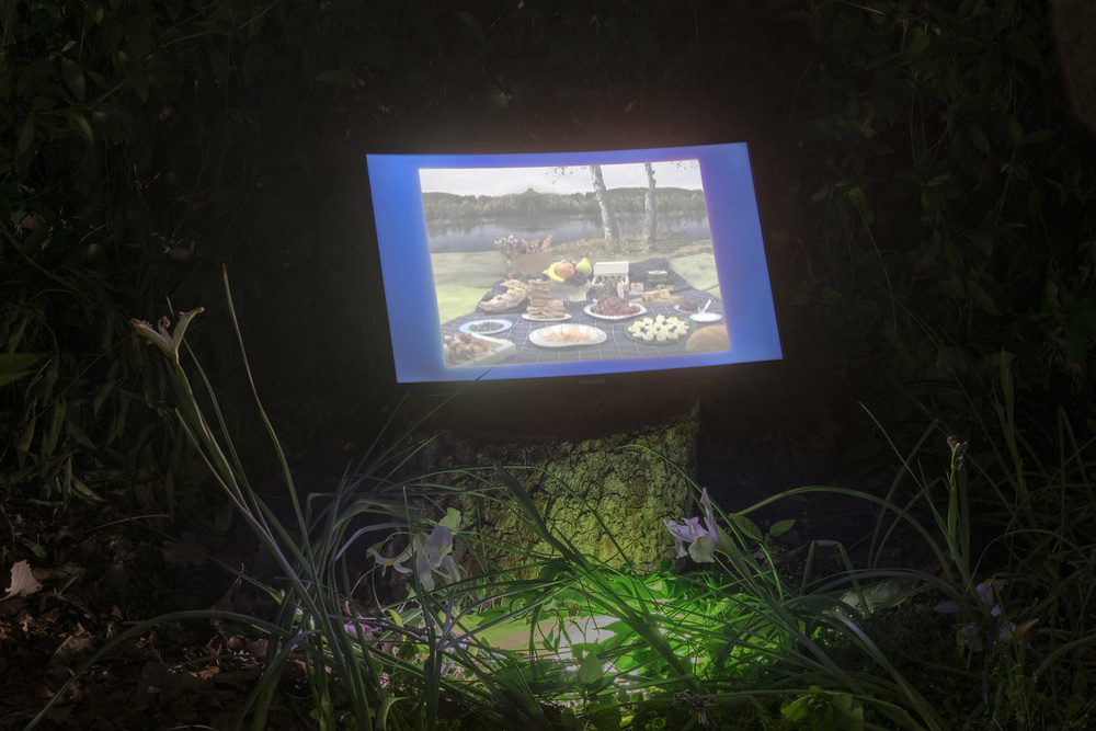 Documentation photograph from Ground, As In, Moonmist, 2019