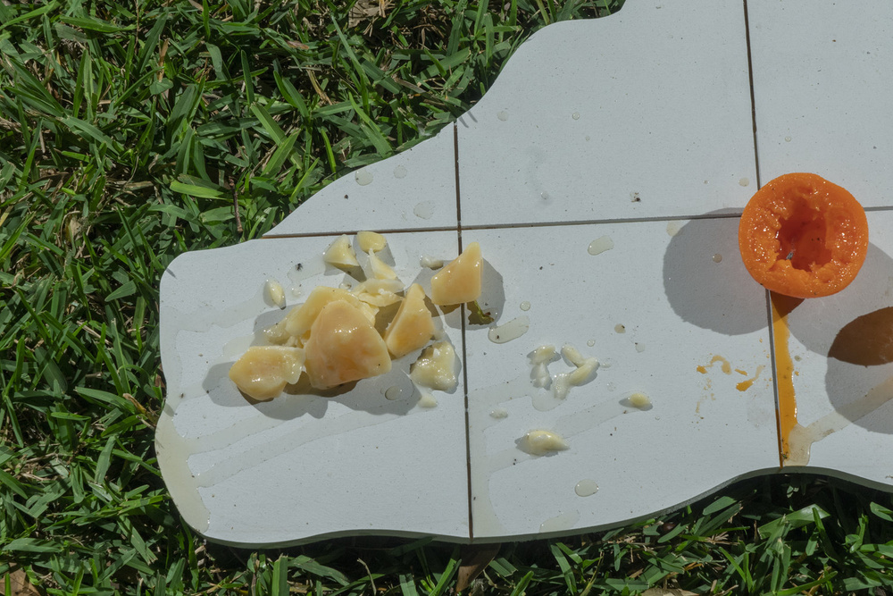 Documentation photograph from Ground, As In, Moonmist, 2019