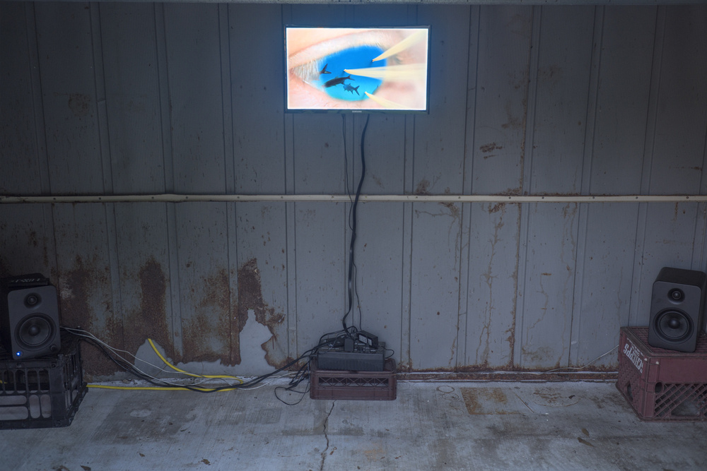 Documentation photograph from Moonmist exhibition, 2018