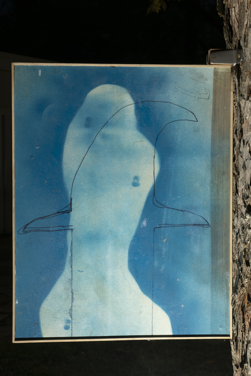 Documentation photograph from Our Going On, Moonmist, 2018